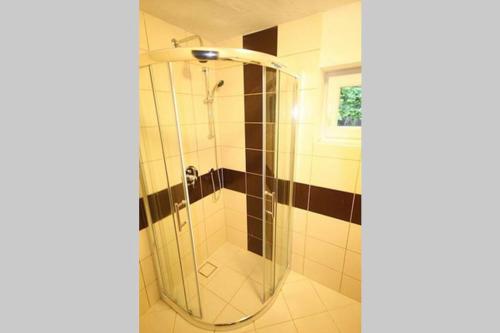 y baño con ducha y puerta de cristal. en Chata na Jankuli en Staré Hamry