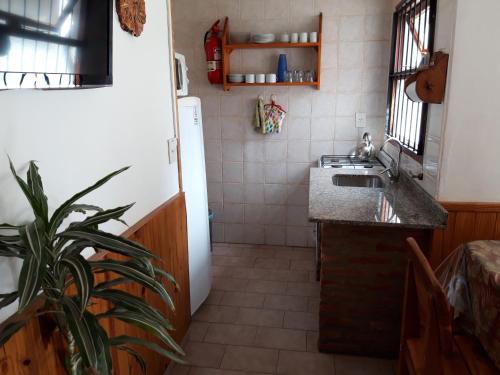 una pequeña cocina con fregadero y nevera. en Villa San Ignacio en San Carlos de Bariloche