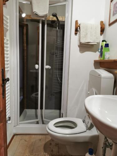 a bathroom with a shower and a toilet and a sink at Dolomiti house in Cibiana
