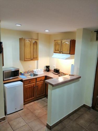 a kitchen with wooden cabinets and a white refrigerator at Apartotel Don Francisco in San José
