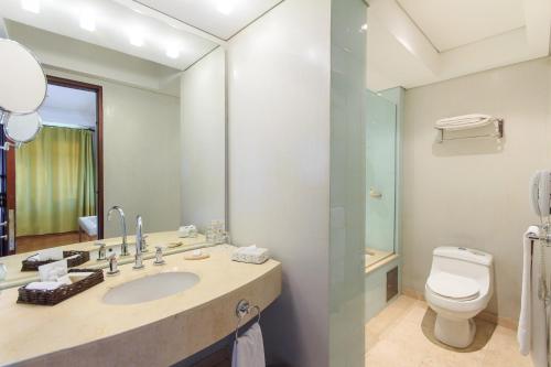a bathroom with a toilet, sink, and mirror at Hotel De La Opera in Bogotá