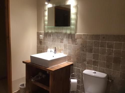 a bathroom with a sink and a toilet and a mirror at Mas Graffouil in Prats-de-Mollo-la-Preste