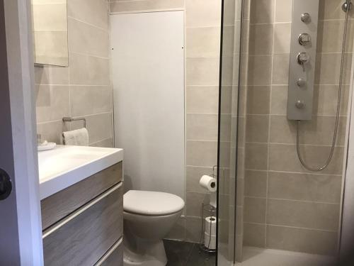 a bathroom with a shower and a toilet and a sink at Mas Graffouil in Prats-de-Mollo-la-Preste
