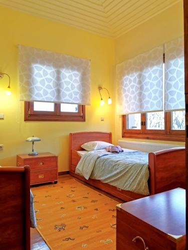 a bedroom with a bed and two windows at Villa Ευορέων in Pertouli
