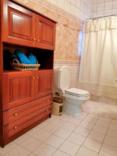 a bathroom with a toilet and a wooden cabinet at Villa Ευορέων in Pertouli