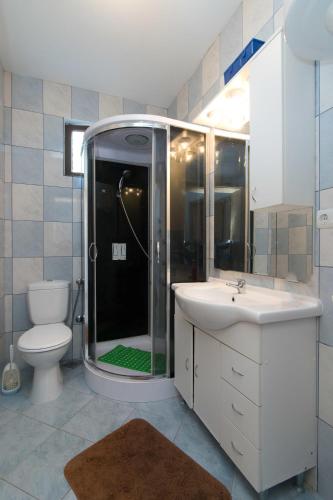 a bathroom with a shower with a sink and a toilet at Apartment Matea in Ubli