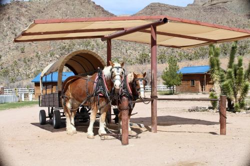 Tetamu yang menginap di Grand Canyon Western Ranch