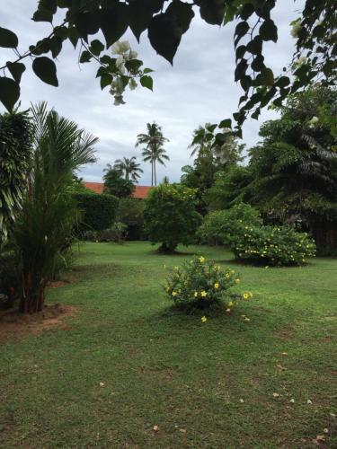 a garden with a bunch of flowers in the grass at Andaman Sunflower in Ko Lanta
