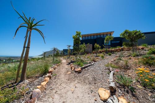 a garden with a palm tree and a building at 365 Sunset Self Catering Apartments in Noordhoek