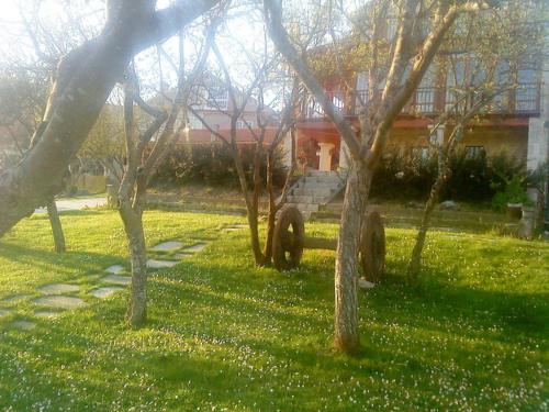 Κήπος έξω από το Casa Brues