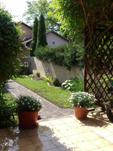 a garden with two potted plants on a sidewalk at Lux Apartman Villa in Hajdúszoboszló