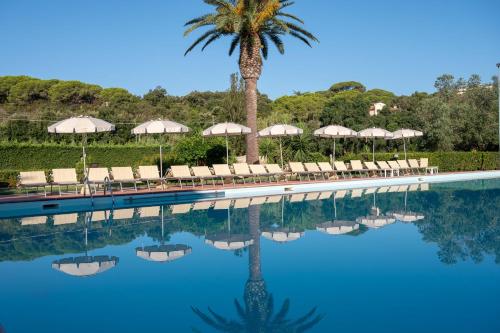 a swimming pool with chairs and a palm tree at Residence Le Acacie in Capoliveri