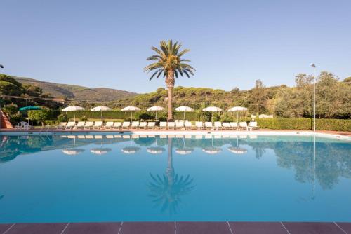 a large swimming pool with chairs and a palm tree at Residence Le Acacie in Capoliveri