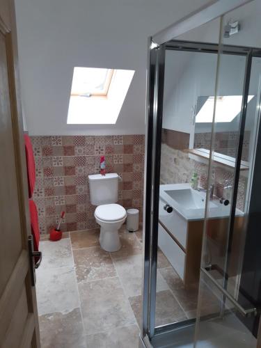 a bathroom with a toilet and a sink at AU VIEUX PUIT in Polisy