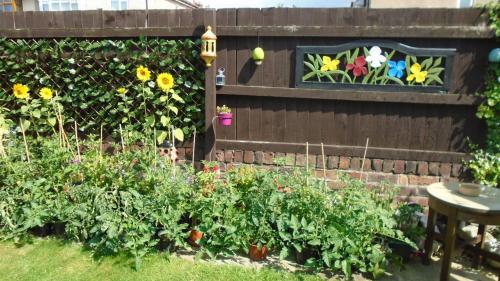 a garden with flowers and a fence with stained glass windows at TEA in Liverpool - Private - Quiet - Ground Floor - En-suite - Walk-in-shower in Liverpool