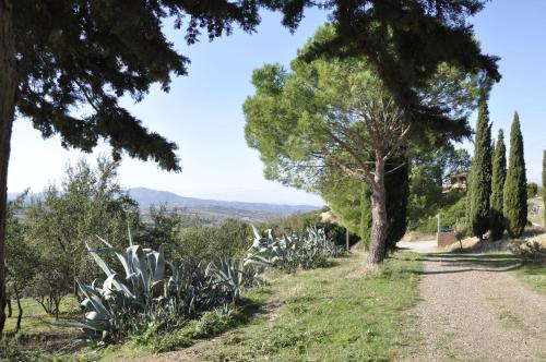 Φυσικό τοπίο κοντά σε αυτό το κατάλυμα σε φάρμα