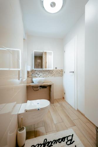 a bathroom with a toilet and a sink and a mirror at Apartments in Villa Olimp in Ljubljana