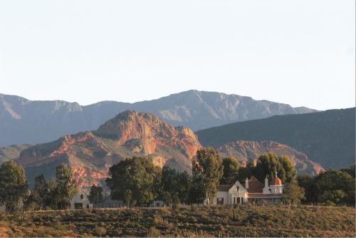 Gallery image of Rietfontein Ostrich Palace in Vleirivier
