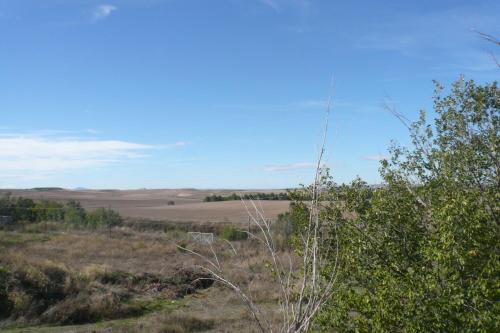 a view of the plains from a field at Hostal El Rincón - Casa Marcos in Yepes