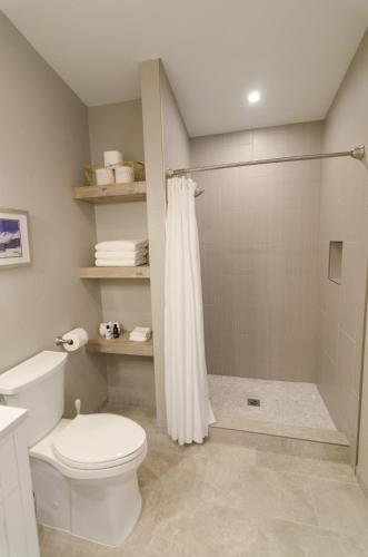a bathroom with a white toilet and a shower at Colony Suites in Palmer