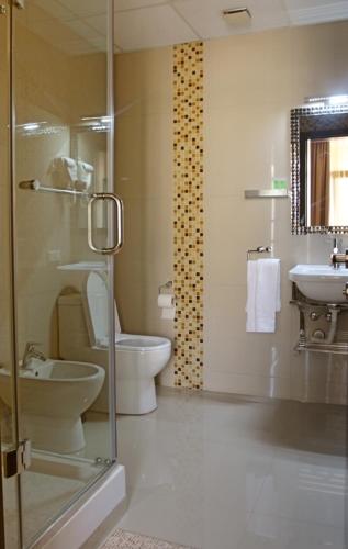 a bathroom with a toilet and a sink at Hotel Orion Tbilisi in Tbilisi City