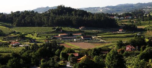 a small village in a vineyard in the hills at FH Hotel Rural in Felgueiras