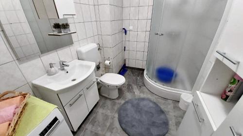 Koupelna v ubytování Apartment Ribnjak 10