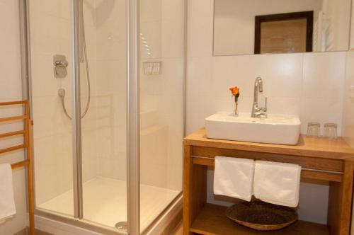 uma casa de banho com um chuveiro e um lavatório. em Gasthof-Hotel Dannerwirt em Flintsbach