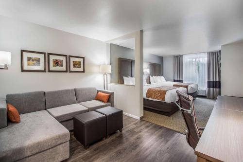 Gallery image of Comfort Suites in Columbia