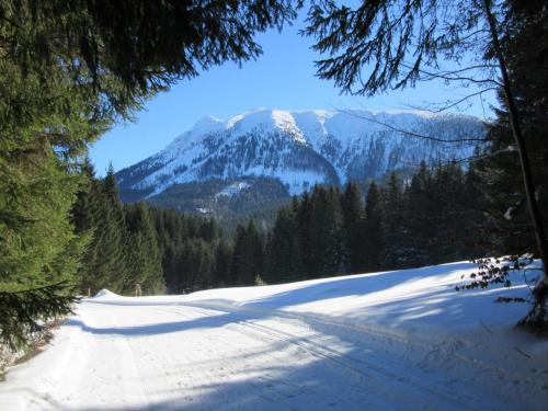 a snow covered road with a mountain in the background at Haus Margarete in Lackenhof