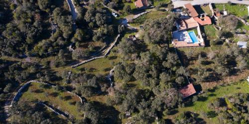 an aerial view of a house in a forest at Quinta dos Canteiros in Fátima
