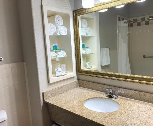 a bathroom with a sink and a mirror at Holiday Inn Express Hotel and Suites Alice, an IHG Hotel in Alice