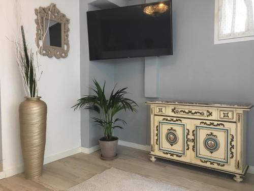 a living room with a tv and a vase with plants at Casa Doramas VV in Las Palmas de Gran Canaria