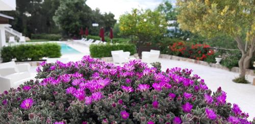Giardino di La Locanda della Castellana adults only