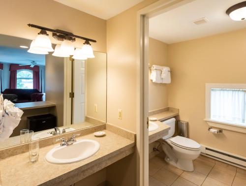 a bathroom with a sink and a toilet at Vinifera Inn in Geneva