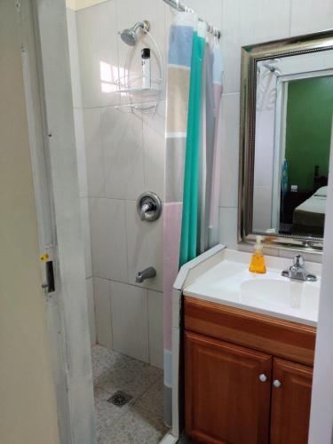 a bathroom with a sink and a shower with a mirror at Woodbrook on the Avenue in Port-of-Spain