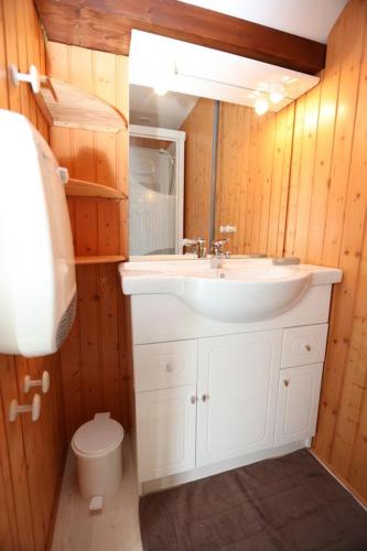 une salle de bain avec un lavabo et des toilettes dans l'établissement Gîte de grettery, à Saulxures-sur-Moselotte