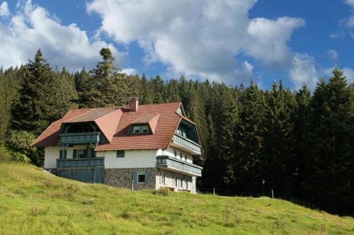a house with a red roof on a hill at Apartma Borovnica Rogla in Vitanje