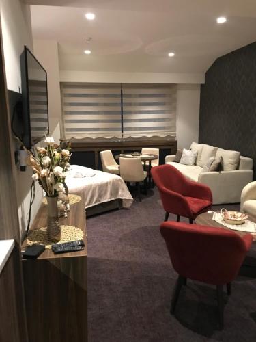 una camera d'albergo con letto e divano di Joy Apartman Kula Konaci a Kopaonik