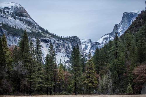 a view of a mountain with trees in front of it at Curry Village in Curry Village