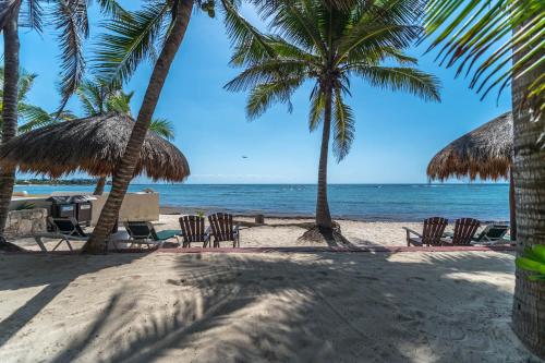 a beach with chairs and palm trees and the ocean at Del Sol Beachfront in Akumal