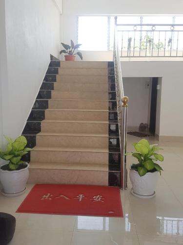 a set of stairs with a red carpet and plants at narixay hotel in Phonsavan