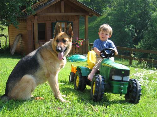 a dog sitting next to a boy riding on a toy tractor at Bauernhof Haim-Schnepfleitner in Pichl bei Aussee