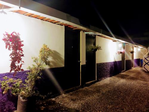 a building with a door and plants on the side at Miroji in Zacatlán
