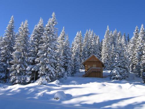a cabin in a snowy forest with snow covered trees at Bauernhof Haim-Schnepfleitner in Pichl bei Aussee
