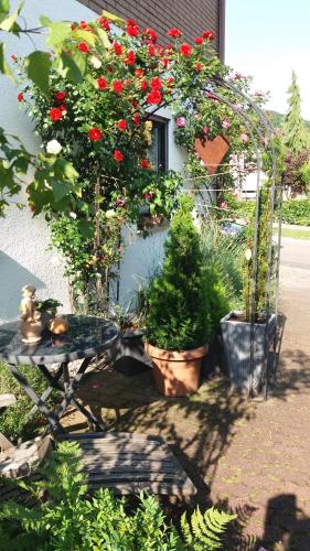a garden with red flowers and a table with plants at Ferienwohnung Rosentraum in Oberotterbach