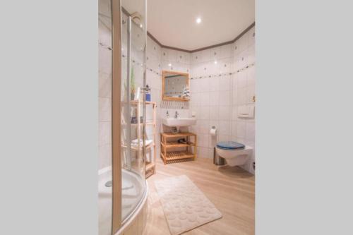 ein Bad mit einer Dusche, einem Waschbecken und einem WC in der Unterkunft Adlerhorst im Haus Seeadler in Zinnowitz