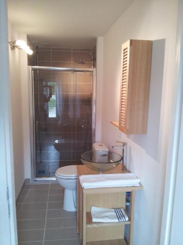 une salle de bain avec un lavabo, des toilettes et une douche dans l'établissement Domaine De Polfages, à Villautou