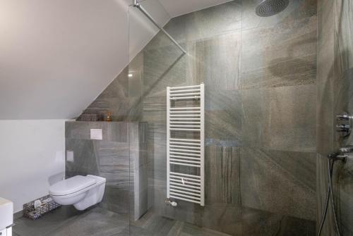 a bathroom with a shower and a toilet in it at Vila Zvonica - 3 minúty od Starý Smokovec in Nová Lesná