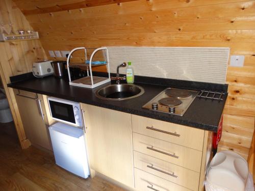 a small kitchen with a sink and a stove at The Wee Lodge in Mallaig